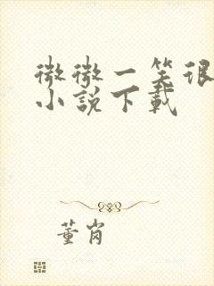 微微一笑很倾城小说下载