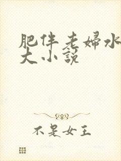 肥伴老妇水多乳大小说