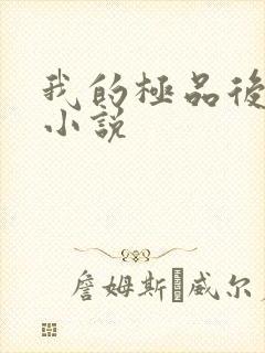 我的极品后宫 小说