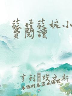 苏晴苏婉小说免费阅读