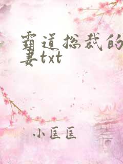 霸道总裁的挂名妻txt