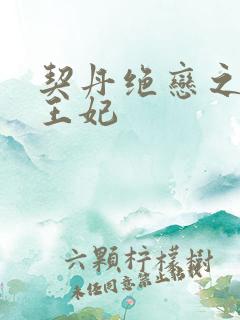 契丹绝恋之代嫁王妃