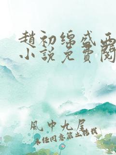 赵初绵盛西舫的小说免费阅读