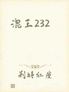 混王232