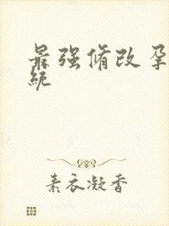 最强修改孕妇系统