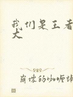 我们是王者立海大