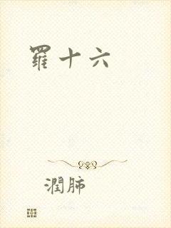 罗十六