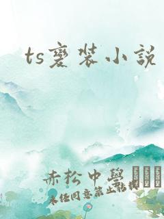 ts变装小说