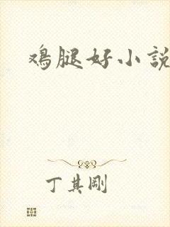 鸡腿好小说网