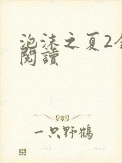 泡沫之夏2全文阅读