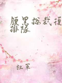 腹黑总裁复婚请排队