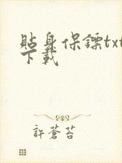 贴身保镖txt下载