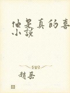 他是真的喜欢你小说