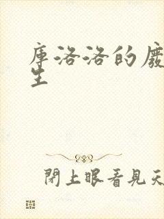 库洛洛的废柴人生