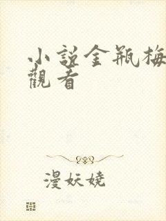 小说金瓶梅在线观看