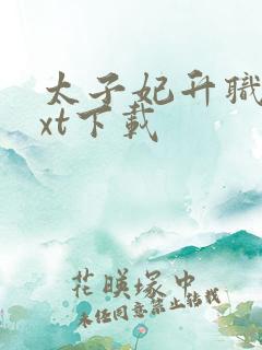 太子妃升职记txt下载