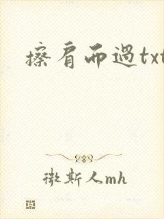 擦肩而过txt