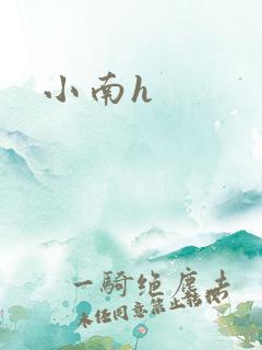 小南h