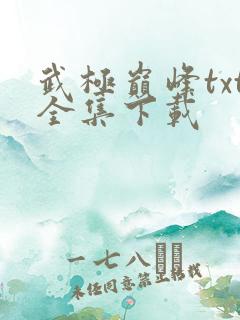 武极巅峰txt全集下载