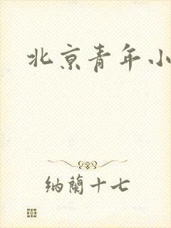 北京青年小说