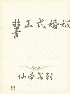 非正式婚姻雾里青