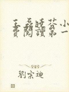 王磊晓芬小说免费阅读第一章