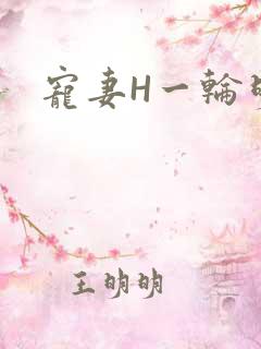 宠妻H一轮明月