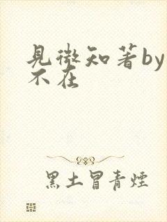 见微知著by音不在