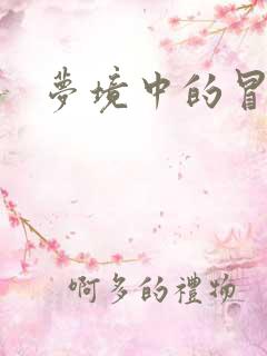 梦境中的冒险家