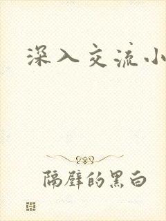 深入交流小说