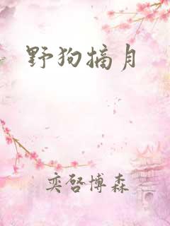 野狗摘月