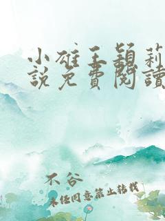 小雄王颖莉的小说免费阅读全文