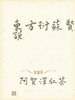 东方衍苏贤儿小说