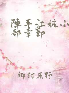 阵平江婉小说全部章节