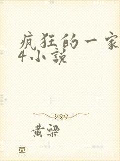 疯狂的一家ps4小说