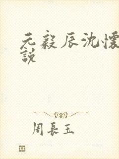 元毅辰沈怀妆小说