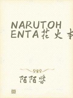 NARUTOHENTA花火本子