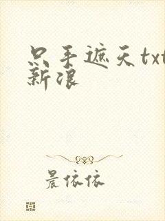 只手遮天txt新浪