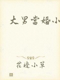 大男当婚小说