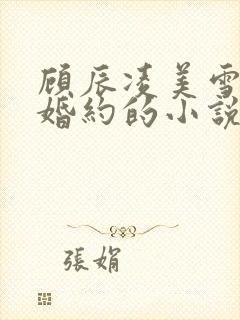 顾辰凌美雪五份婚约的小说名字叫什么