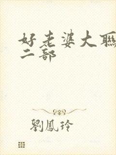 好老婆大联盟第二部