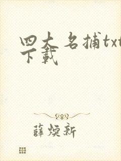 四大名捕txt下载