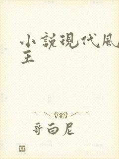 小说现代风流霸主