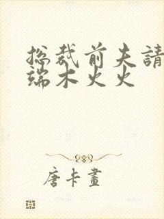 总裁前夫请自重端木火火