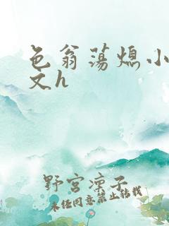 色翁荡熄小说全文h