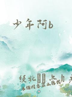 少年阿b