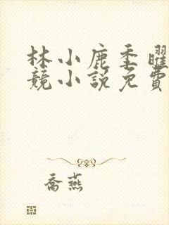 林小鹿季曜珉电竞小说免费阅读