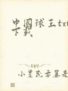 中国球王txt下载