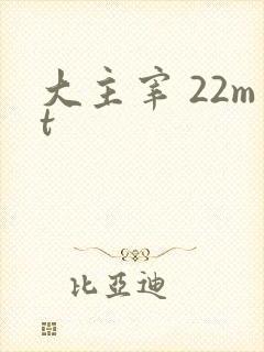 大主宰 22mt