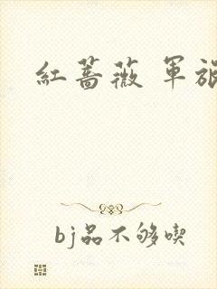 红蔷薇 军旅文